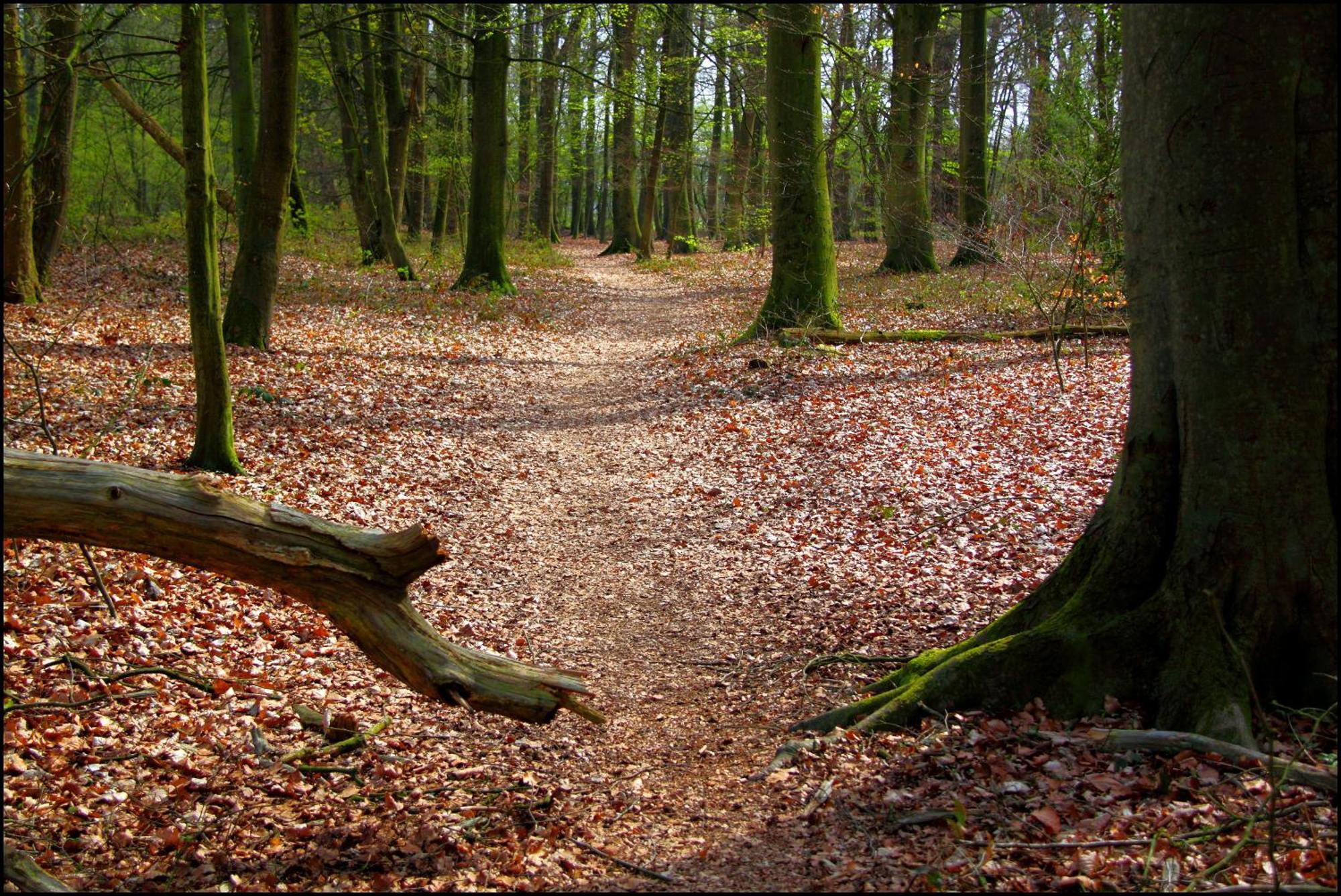 De Hiddinghhoeve Onstwedde Exterior foto